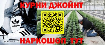 гашик Заволжье